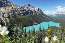 Columbia Icefield Adventure Skywalk Peyto and Bow Lake Tour