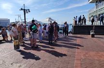 Cape Town Robben lsland Half Day Tour