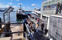 Cape Town Robben lsland Half Day Tour