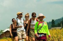 Sapa 2 Day Trek in Ta Van Village from Hanoi
