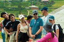Sapa 2 Day Trek in Ta Van Village from Hanoi