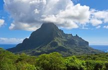 Moorea: Guided Hike Bounty 3 Pine Tree Adventure Park & Lunch