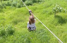Moorea Hiking Belvedere 3 Zipline pine and lunch included