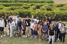 Adelaide Gems in a Day: Hahndorf, Glenelg Beach, City Tour 6.5hrs