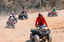 Los Cabos: Choose 3 – ATV, Razor, Camel interaction or Horseback