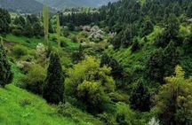 Tashkent Tour at Amirsoy, Chimgan Mountains and Charvak lake