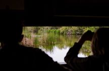 Wildlife of the Tropical Coast Nature Tour and Gardens