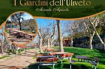 Lunch in Sorrento and Local Tasting in a Panoramic Limonet