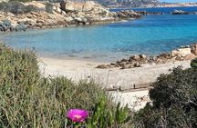 Explore the archipelago of La Maddalena by Speedboat