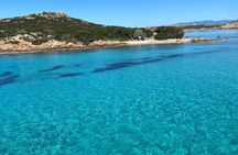 Explore the archipelago of La Maddalena by Speedboat