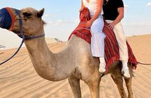 Tangier Express: 4-Hour Adventure