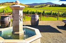 Yarra Valley Half-Day Winery Tour from Melbourne with Small Group