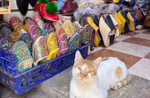 Tangier Express: 4-Hour Adventure