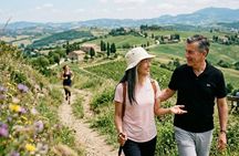 Private Walking Tour in San Marino: Historic Towers