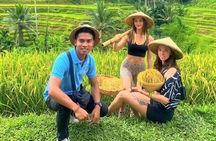 Ubud: Monkey Forest, Jungle Swing, Rice Terrace and Water Temple