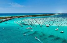 4 Hour Crab Island Adventure Tour in Destin