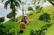 Tours Buggy and Horse and Zipline