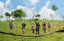Tours Buggy and Horse and Zipline
