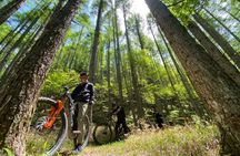 Osaka JaOsaka E-MTB Trail Ride: Katsuo-ji Temple & Pilgrim Trails