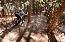 Osaka JaOsaka E-MTB Trail Ride: Katsuo-ji Temple & Pilgrim Trails