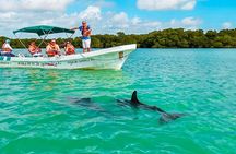 Sian Kaan Punta Allen A Journey to the Biosphere Heart 5 Hrs