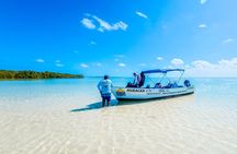 Tour Sian Kaan: From Tulum Boat Tour, Swim, Snorkel & Lunch