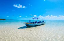 Sian Kaan Punta Allen A Journey to the Biosphere Heart 5 Hrs