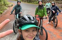 Guided E-Bike Tour of Acadia's Carriage Roads