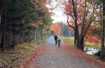 Guided E-Bike Tour of Acadia's Carriage Roads