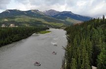 4 Hour Scenic Adventure Rafting the Nenana River