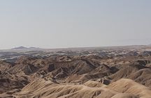 Walvis Bay Cruiseliner Excursion