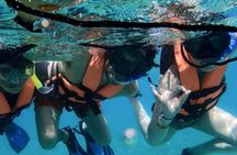 Snorkeling in Puerto Morelos Reef National Park