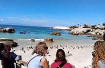 Half Day Penguin And Whale Watching