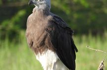 Yala National Park Full Day Wildlife Jeep Safari