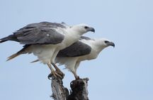 Yala National Park Full Day Wildlife Jeep Safari