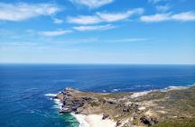Cape Peninsula Shared Group Tour