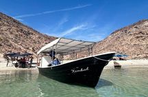 Espiritu Santo Island Tour with Sea Lion Snorkeling