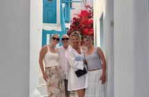 Mykonos Wow Tour - Private Highlights and Scenic Stops