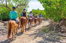 Ocho Rios Sunset Champagne Horseback Riding and Ocean Swim