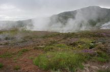 Reykjanes Volcanoes and Cliffs Small Group Tour