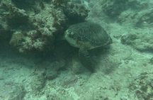 Punta Cana: PADI Open Water Scuba Certification (2–3 Days)