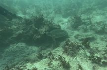 Punta Cana: PADI Open Water Scuba Certification (2–3 Days)