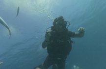 Punta Cana: PADI Open Water Scuba Certification (2–3 Days)