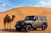 Half Day Desert Safari Sunset Inland Sea Tour with Sandboarding