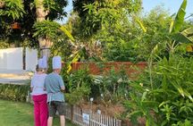 Nusa Dua: Bali Cooking Class Spice Herb Garden Visit-Free Pick Up