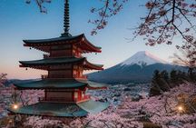 Private Mt Fuji 5th Station & Shiraito Falls Day Tour from Tokyo