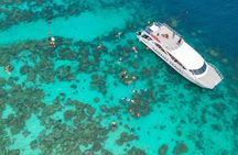 Phi Phi, Maya, Khai and Pileh Day Trip by Catamaran From Phuket