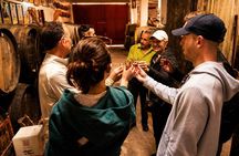 Malaga Food & Wine Electric Car Tour – Local Tasting Experience