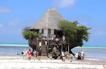 Jozani Forest, Salaam Cave and The Rock Restaurant in Zanzibar