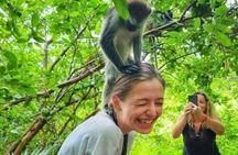 Jozani Forest, Salaam Cave and The Rock Restaurant in Zanzibar